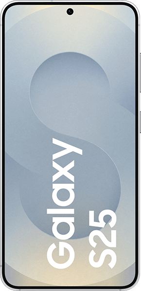 Samsung Galaxy S25 128GB Silver Shadow