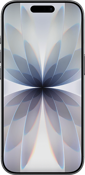 Apple iPhone 17 256GB Schwarz