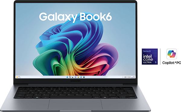 Samsung Galaxy Book6 14 256GB Gray